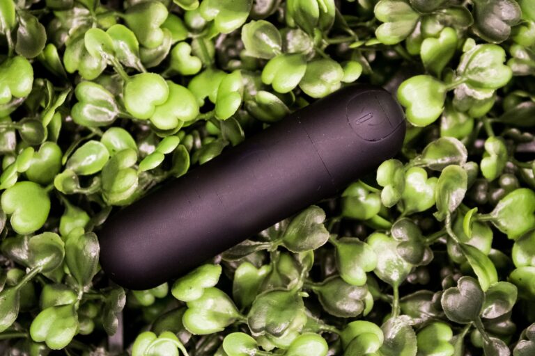 Vibz Bullet Vibrator Remote control