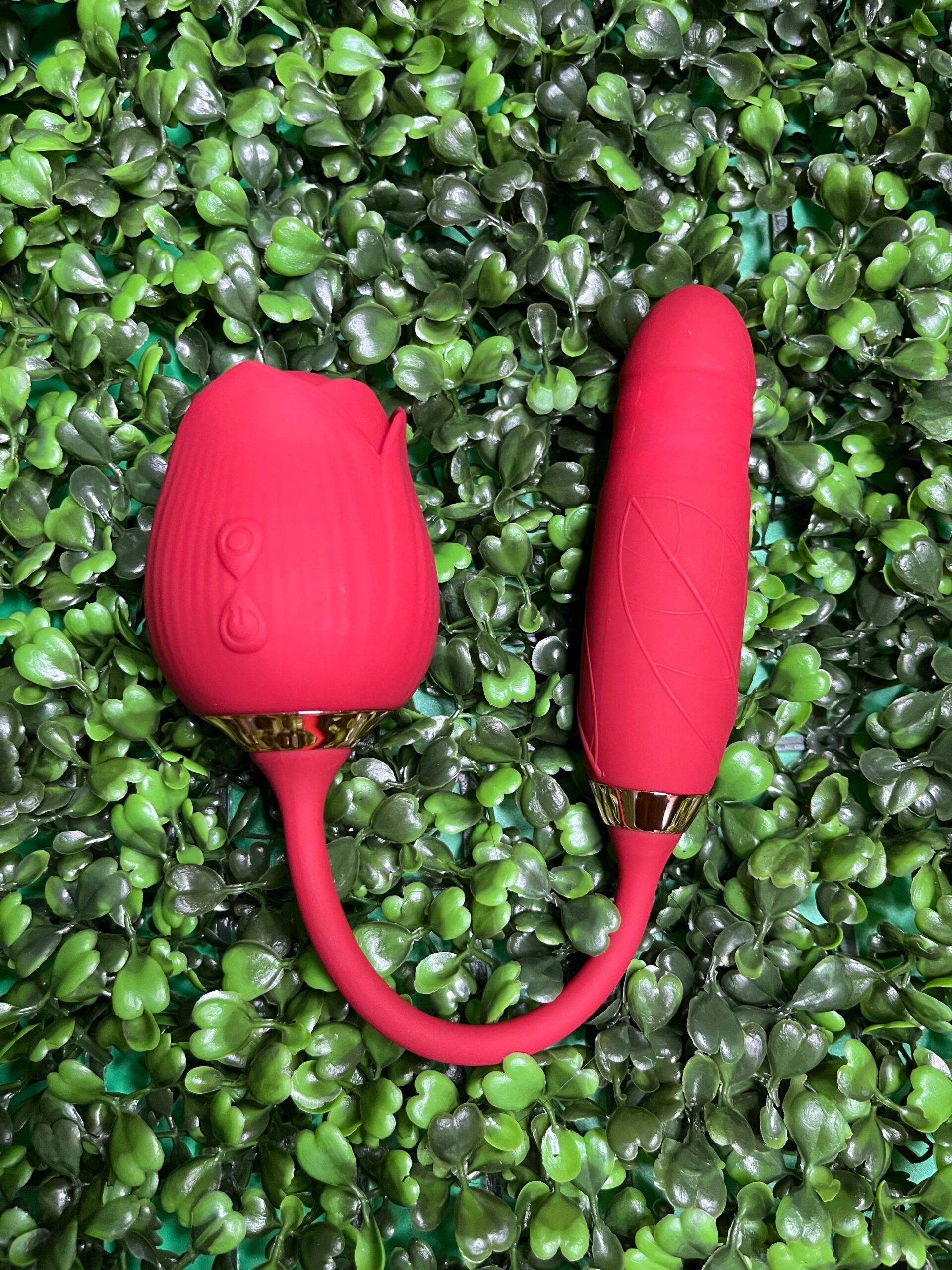 Deluxe Rose - Image 2